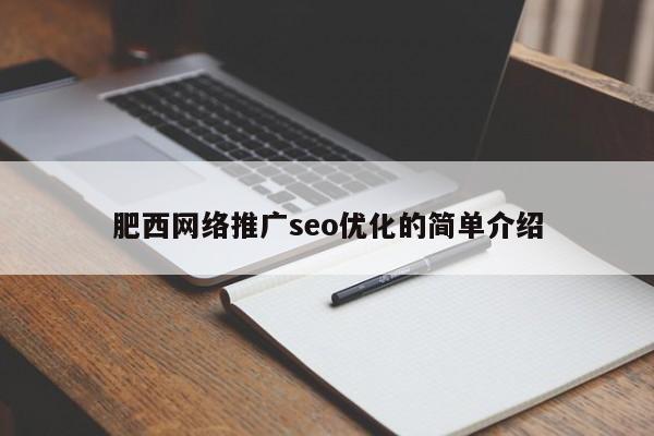 肥西网络推广seo优化的简单介绍