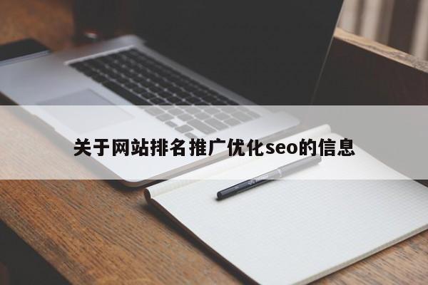 关于网站排名推广优化seo的信息