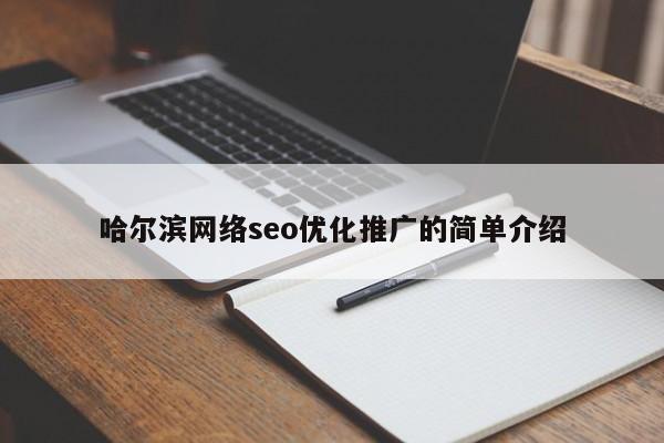 哈尔滨网络seo优化推广的简单介绍