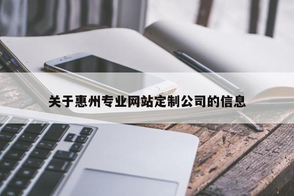 关于惠州专业网站定制公司的信息