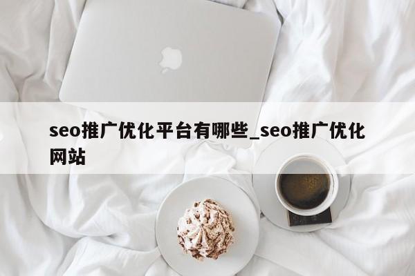 seo推广优化平台有哪些_seo推广优化网站